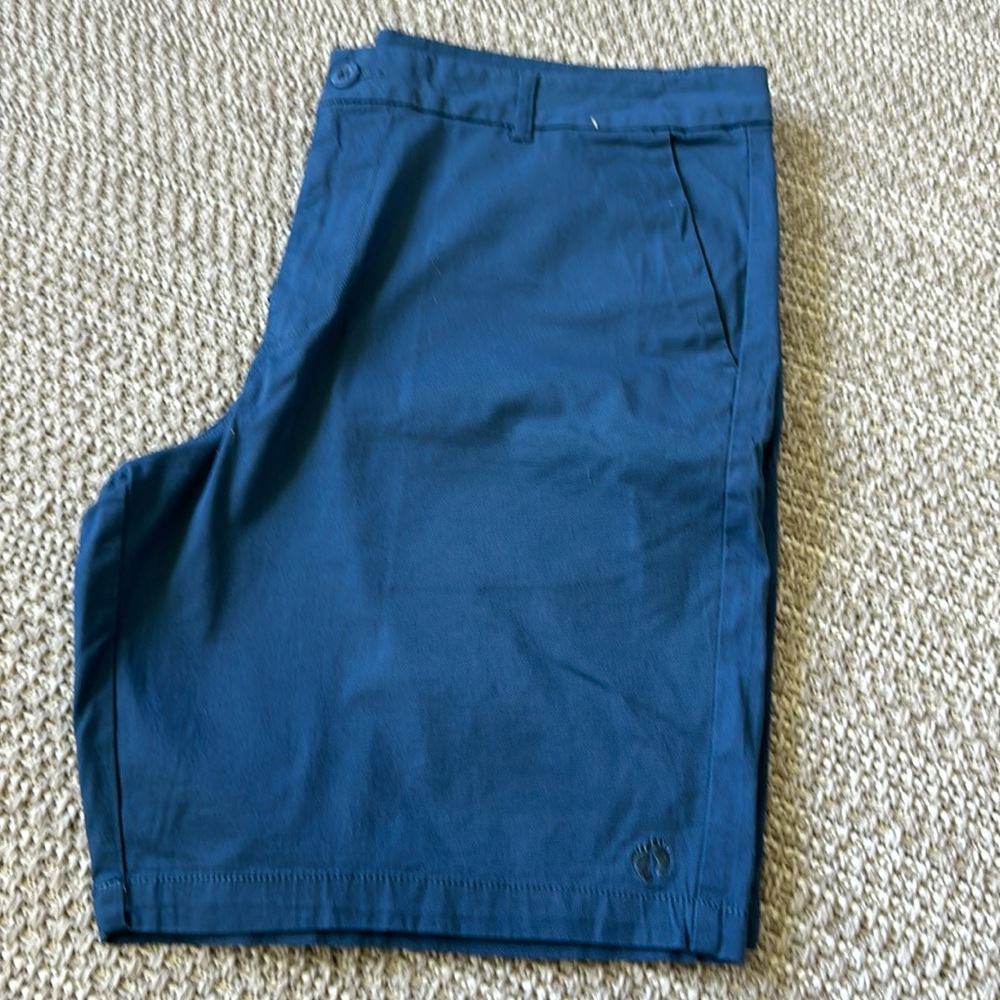 Hang Ten Shorts